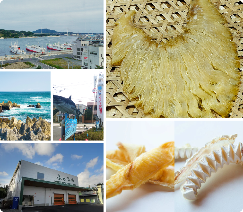 海の恵み