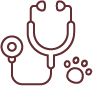 Health First